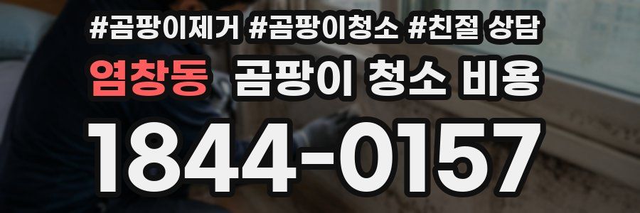 염창동 곰팡이 청소 비용