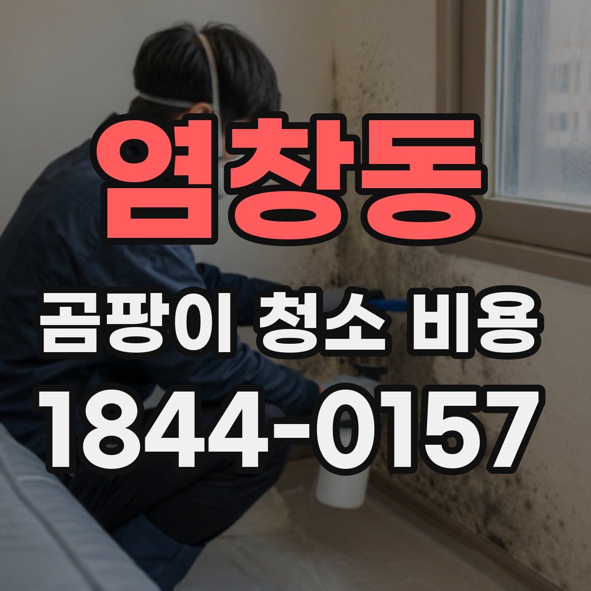 염창동 곰팡이 청소 비용