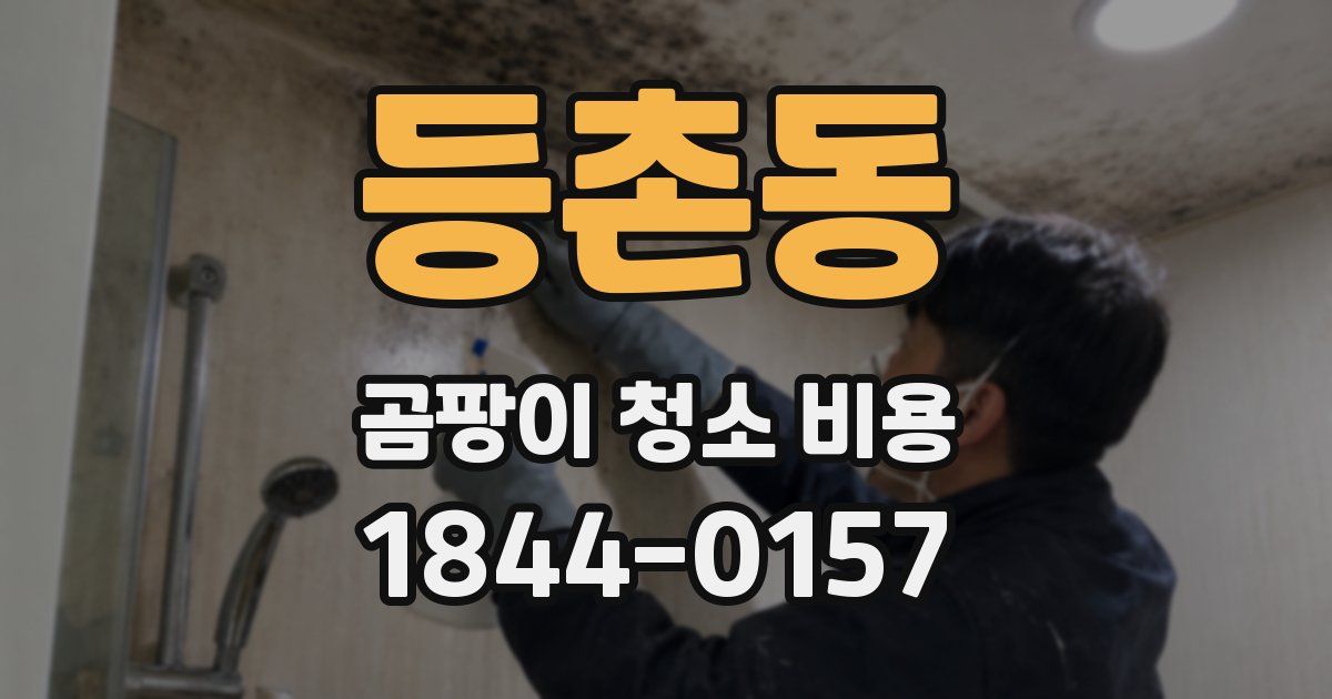 등촌동 곰팡이 청소 비용