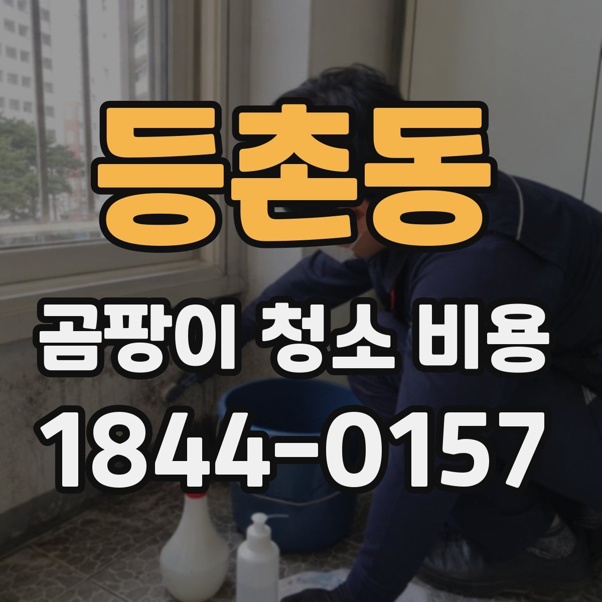 등촌동 곰팡이 청소 비용
