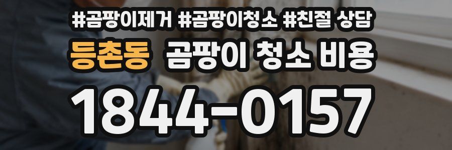 등촌동 곰팡이 청소 비용
