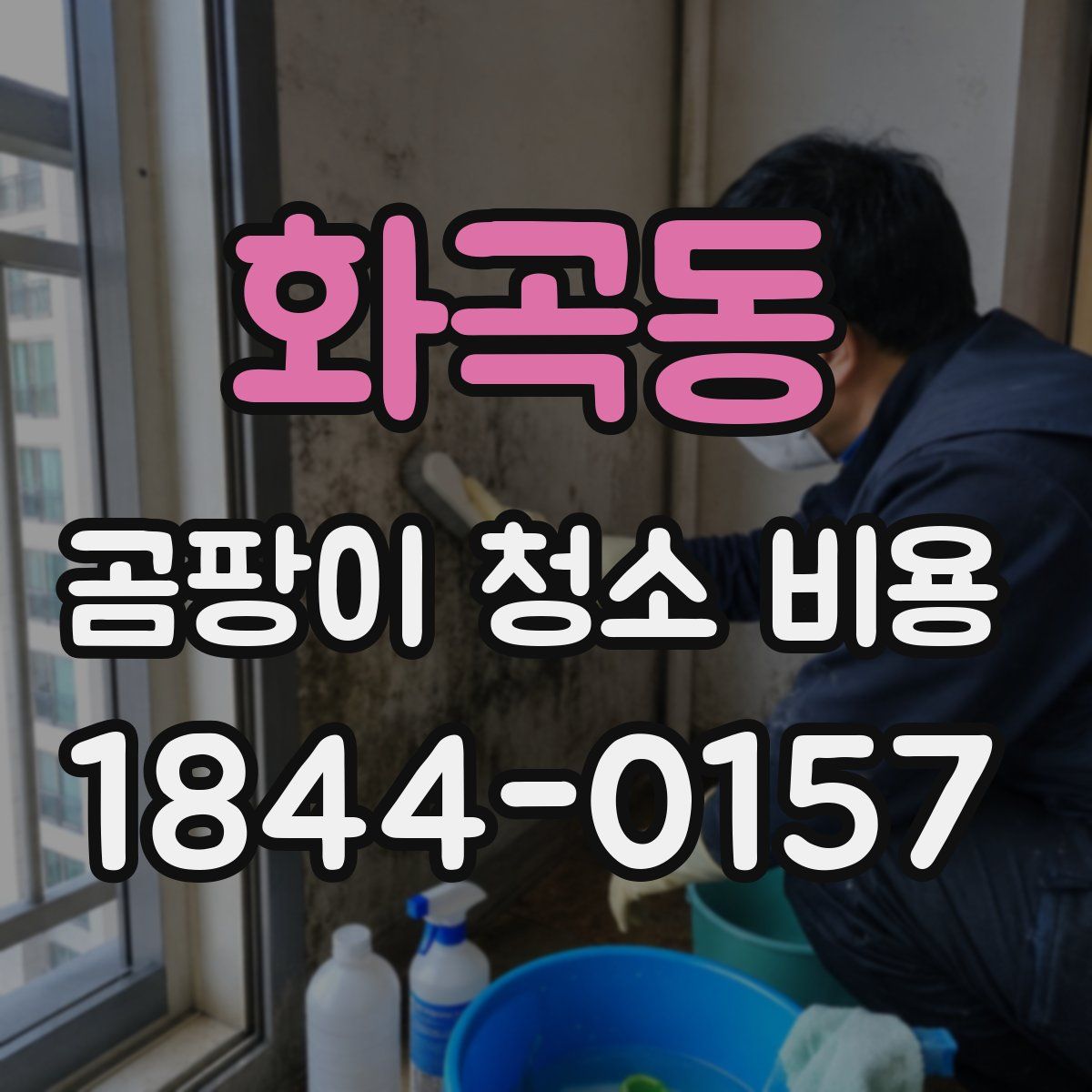 화곡동 곰팡이 청소 비용