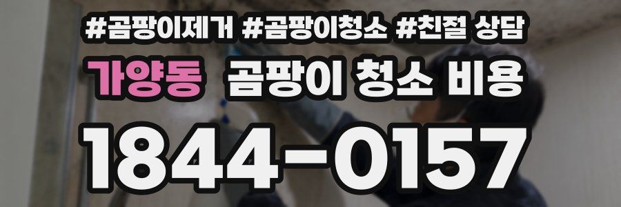 가양동 곰팡이 청소 비용