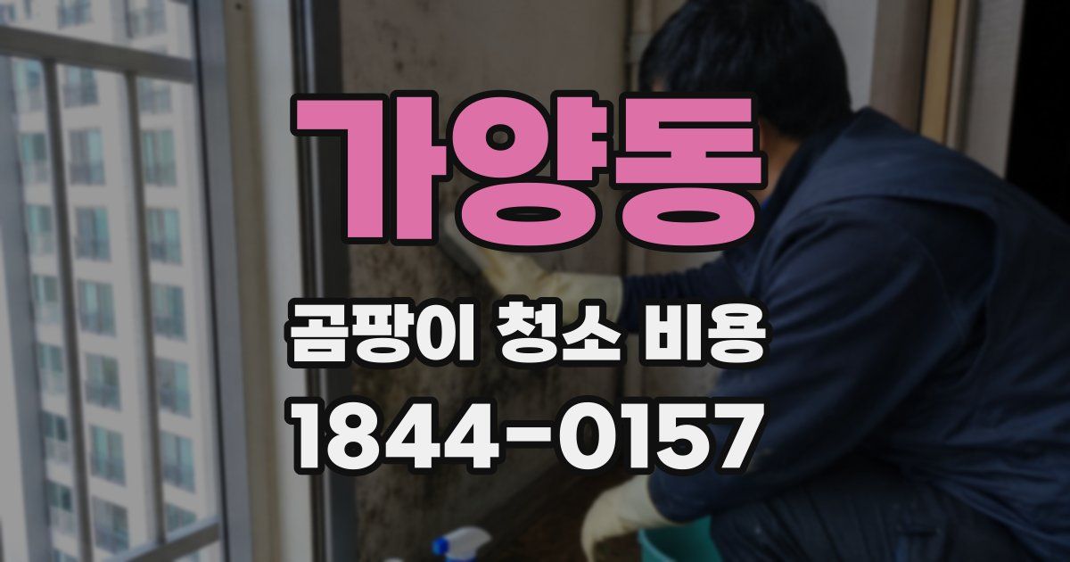 가양동 곰팡이 청소 비용