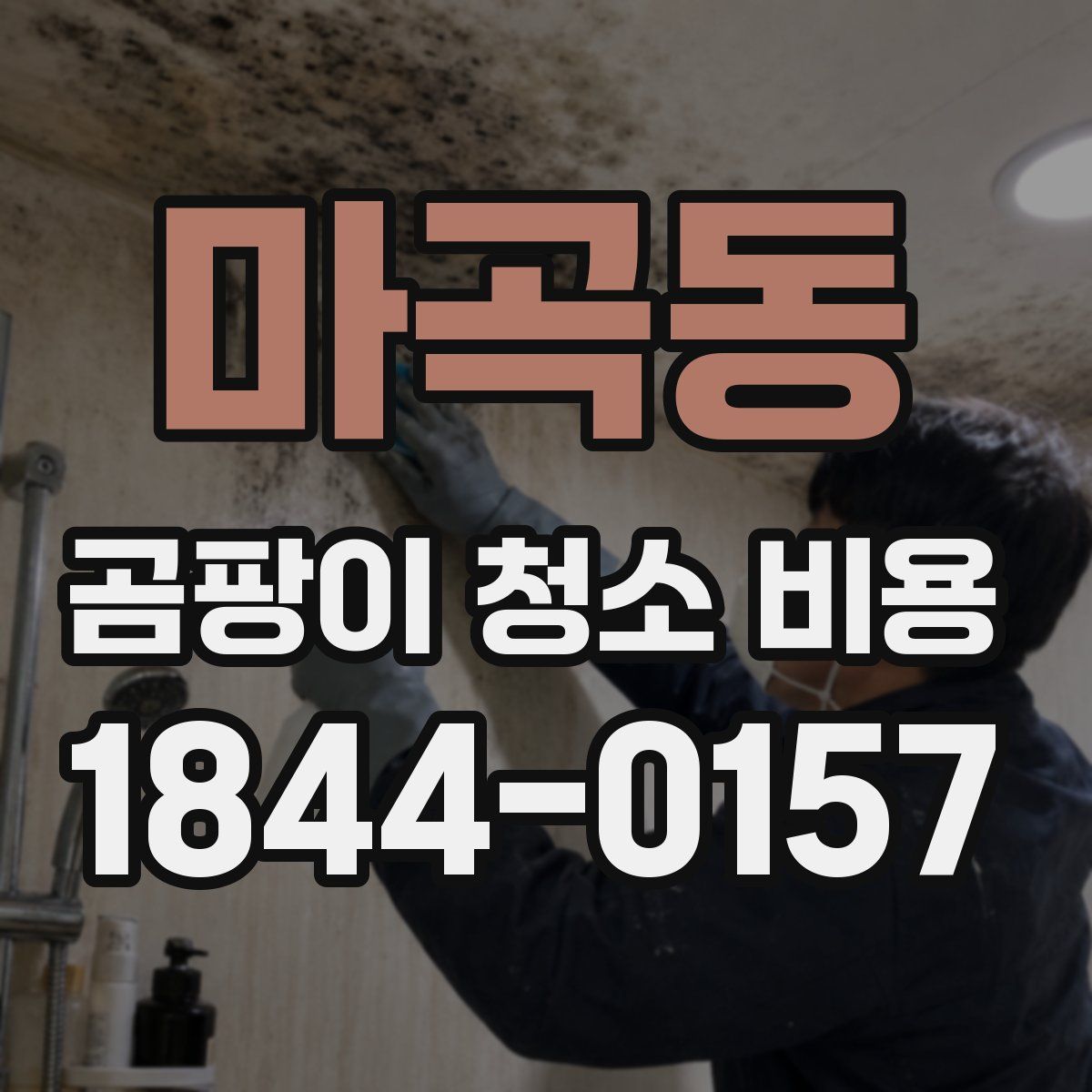 마곡동 곰팡이 청소 비용