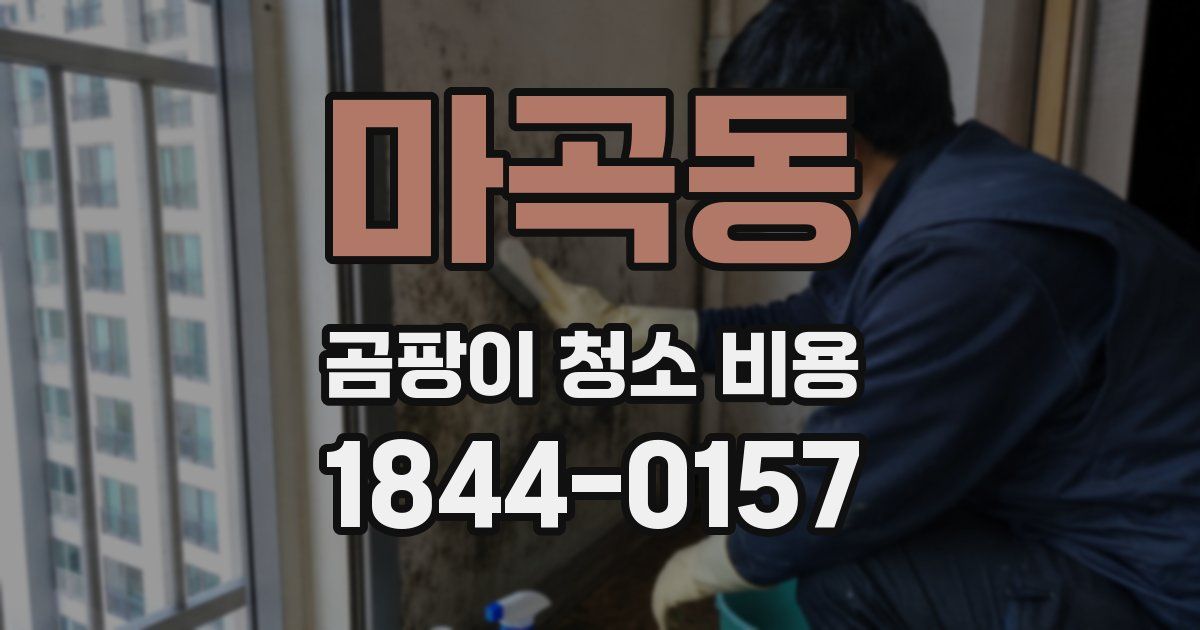 마곡동 곰팡이 청소 비용