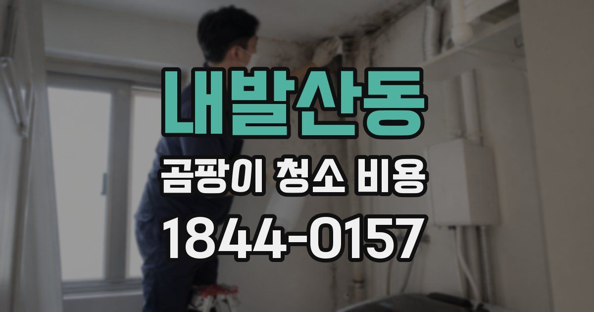 내발산동 곰팡이 청소 비용