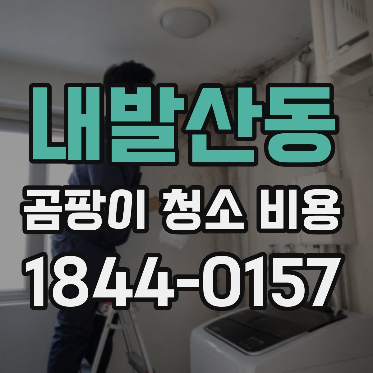 내발산동 곰팡이 청소 비용