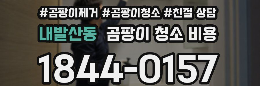 내발산동 곰팡이 청소 비용