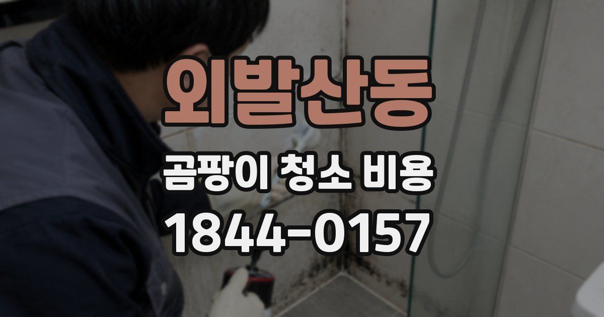 외발산동 곰팡이 청소 비용