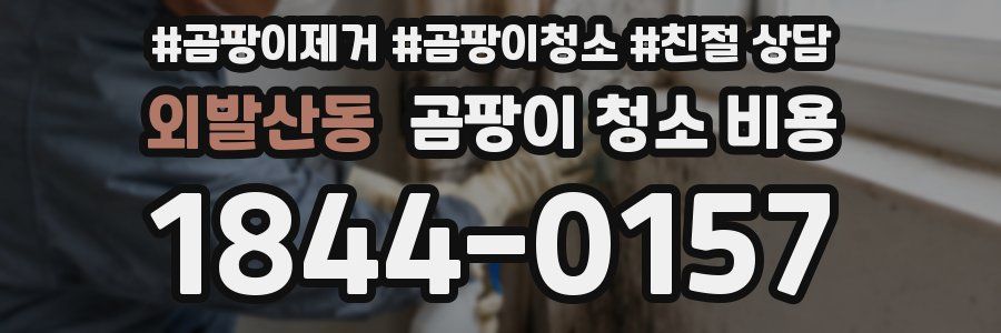 외발산동 곰팡이 청소 비용