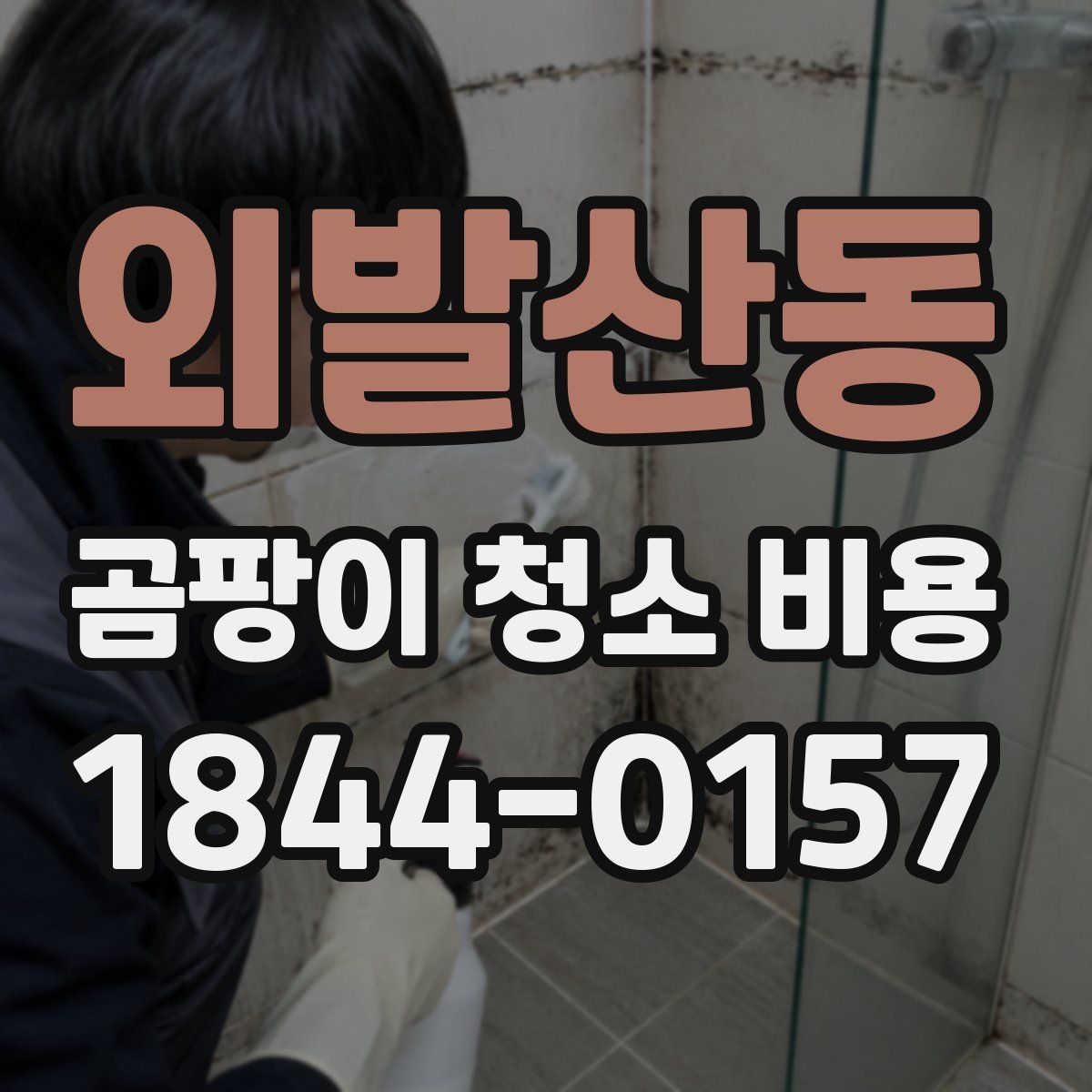 외발산동 곰팡이 청소 비용