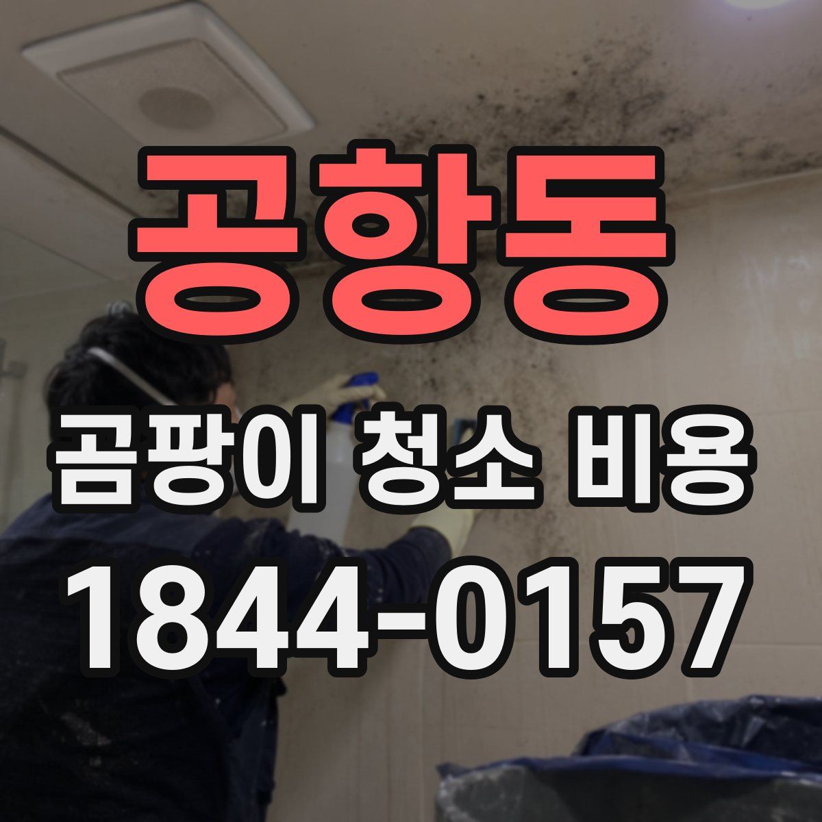공항동 곰팡이 청소 비용