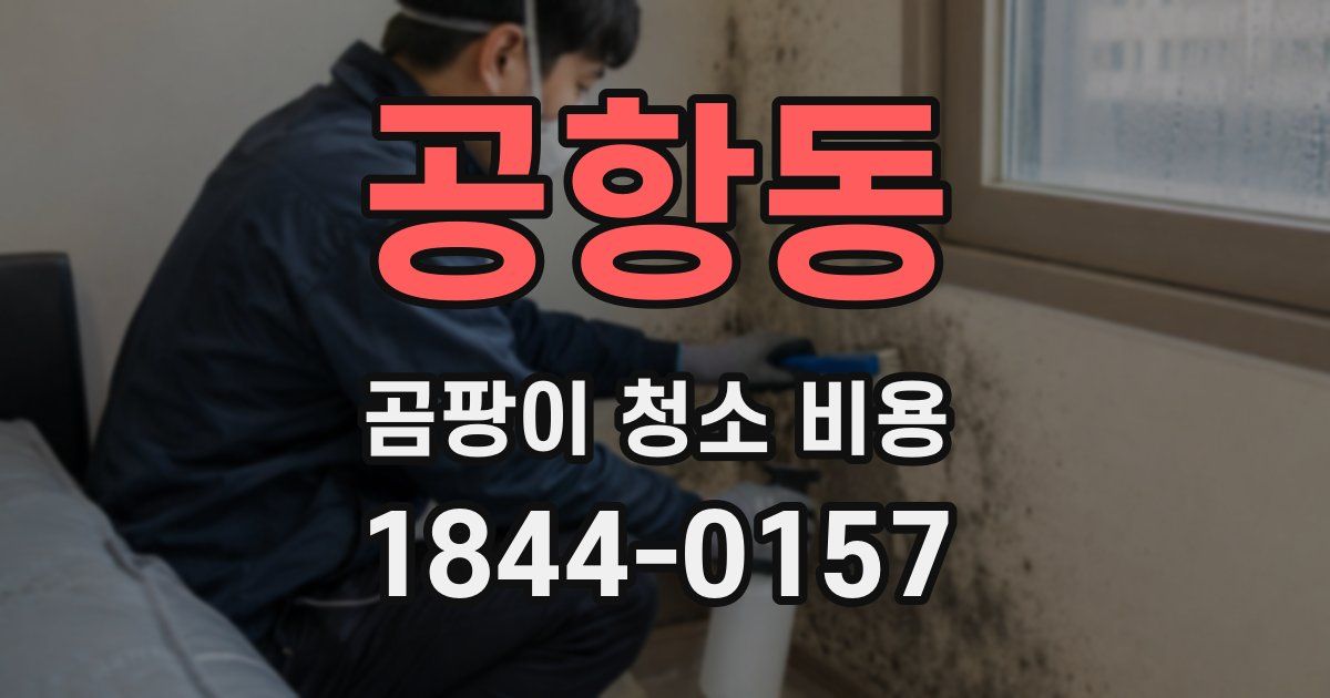 공항동 곰팡이 청소 비용