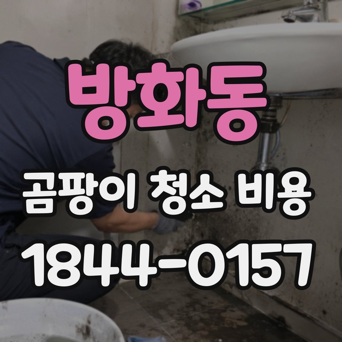방화동 곰팡이 청소 비용 산출에 영향을 주는 오염 원인