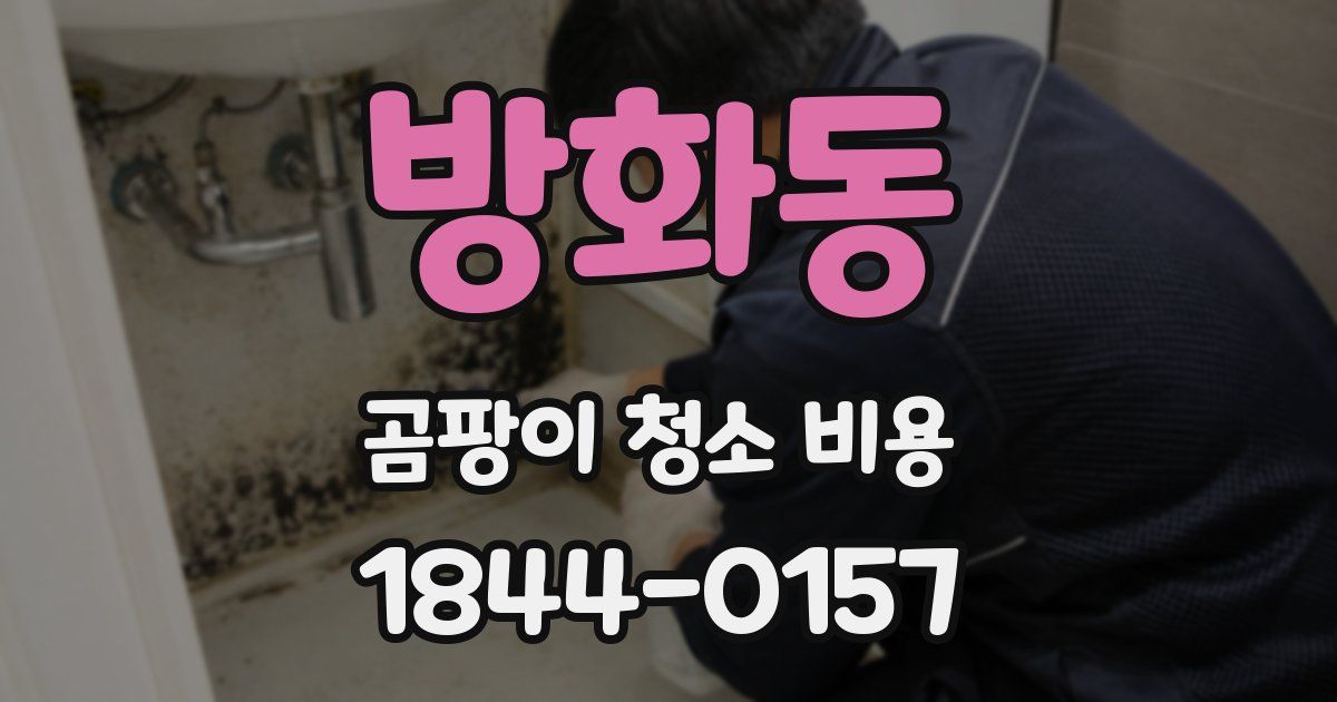 방화동 곰팡이 청소 비용