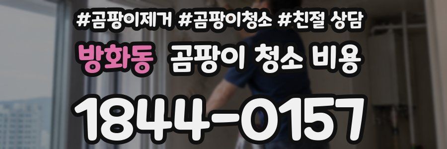 방화동 곰팡이 청소 비용