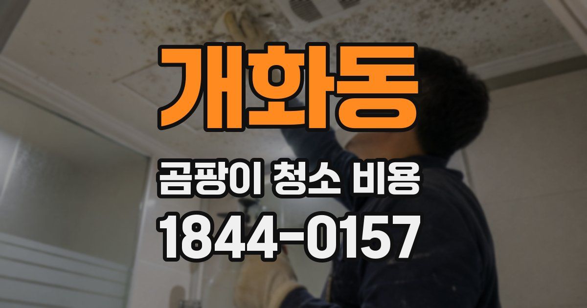 개화동 곰팡이 청소 비용