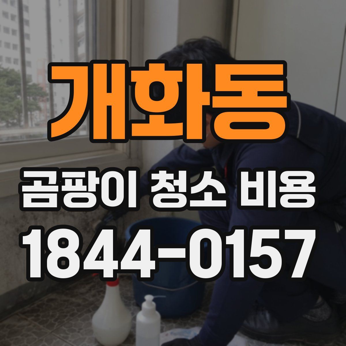 개화동 곰팡이 청소 비용