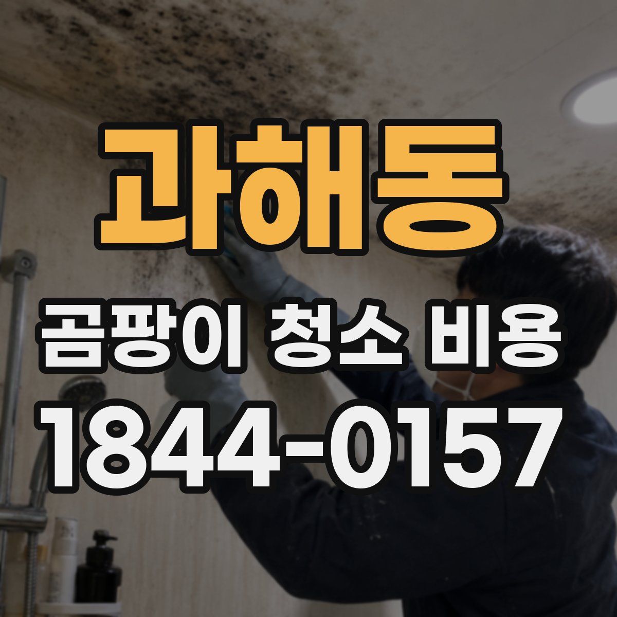 과해동 곰팡이 청소 비용