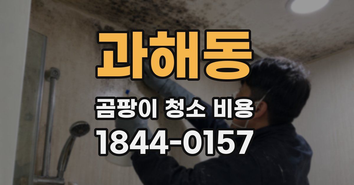 과해동 곰팡이 청소 비용