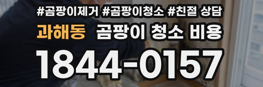 과해동 곰팡이 청소 비용
