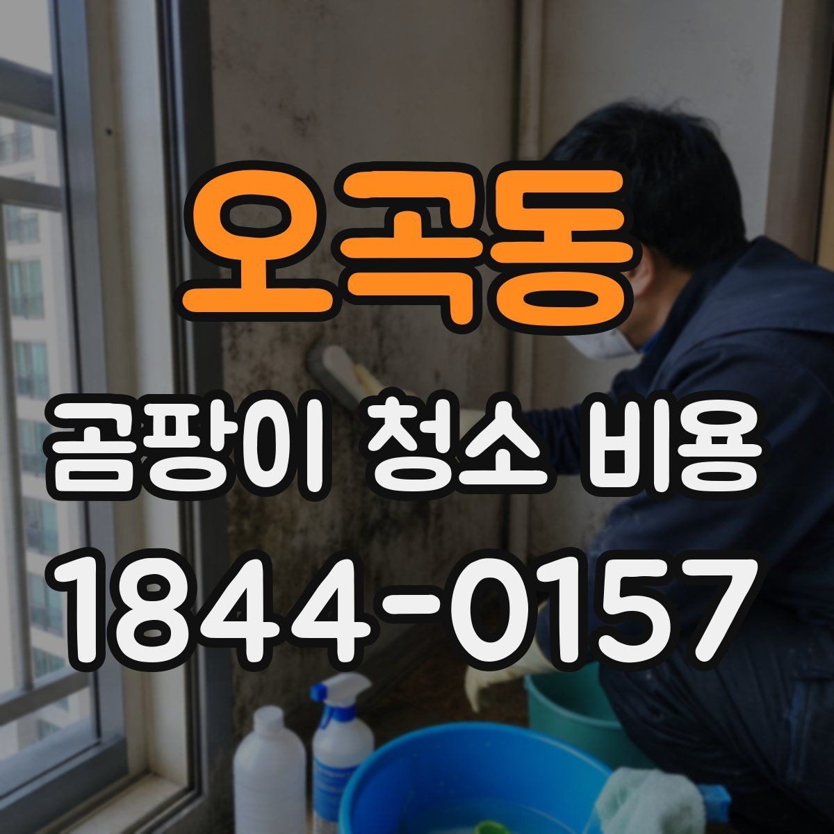 오곡동 곰팡이 청소 비용 문의 전 집 상태 점검하기