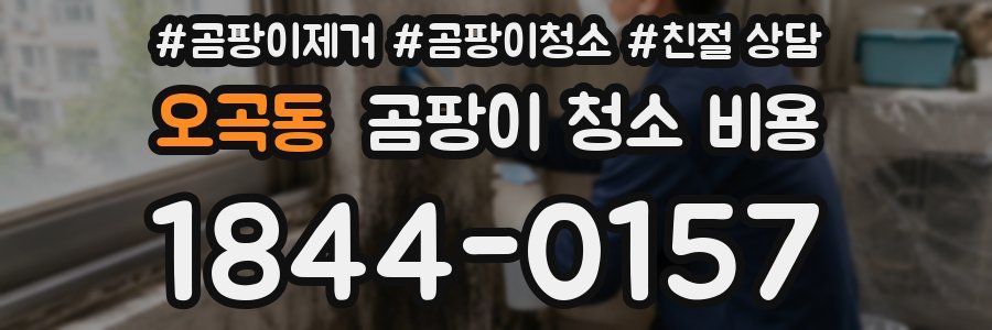 오곡동 곰팡이 청소 비용