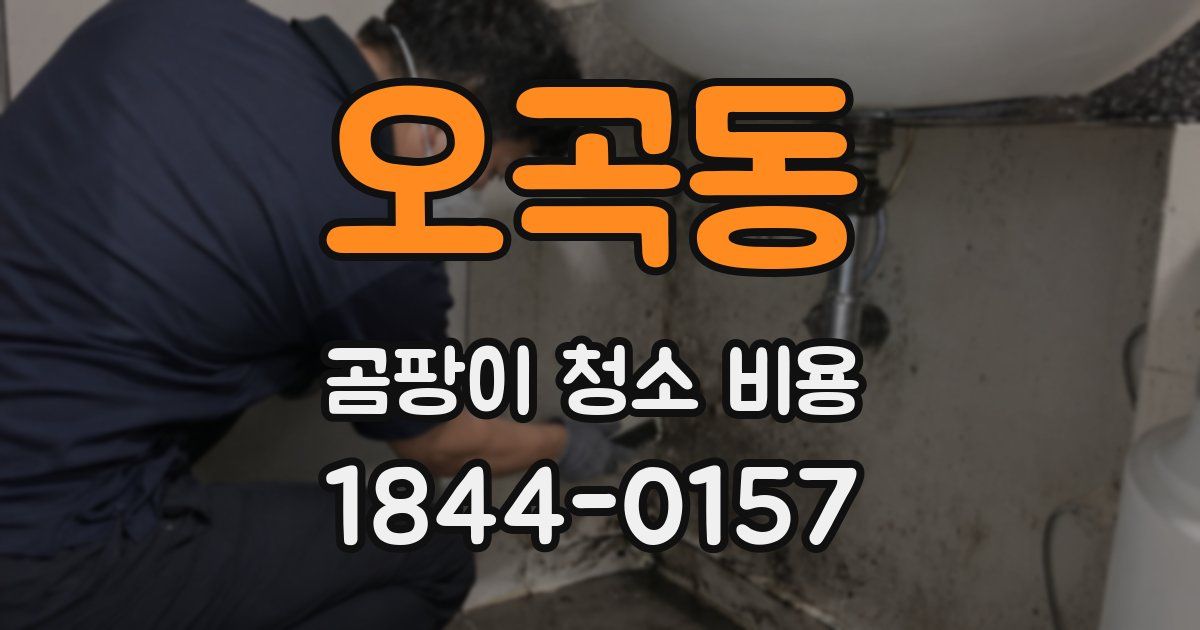 오곡동 곰팡이 청소 비용
