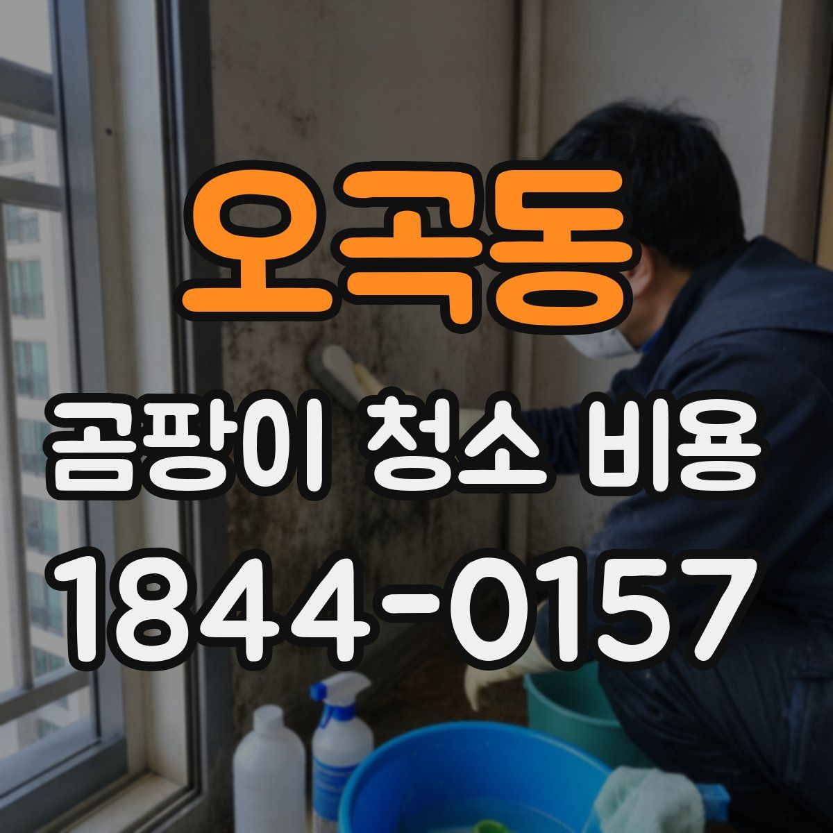 오곡동 곰팡이 청소 비용