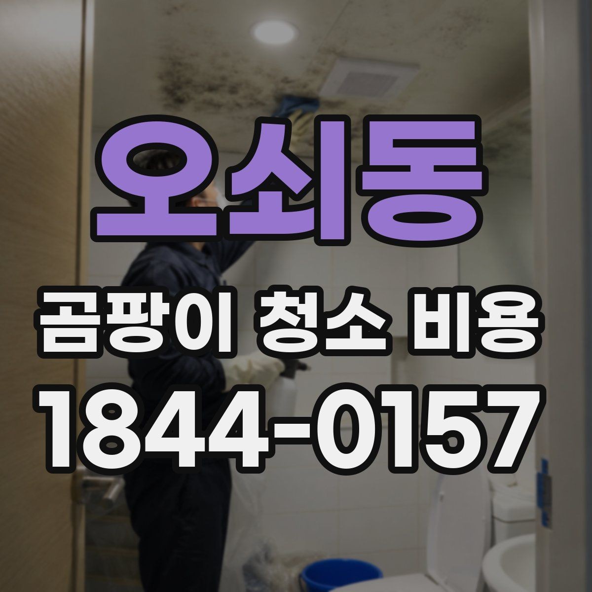오쇠동 곰팡이 청소 비용 차이가 생기는 원인
