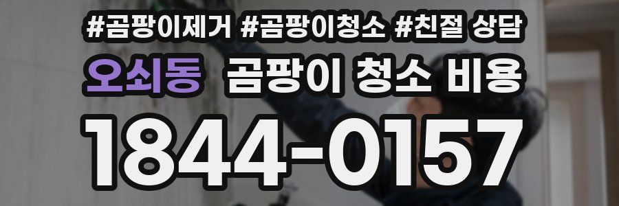 오쇠동 곰팡이 청소 비용