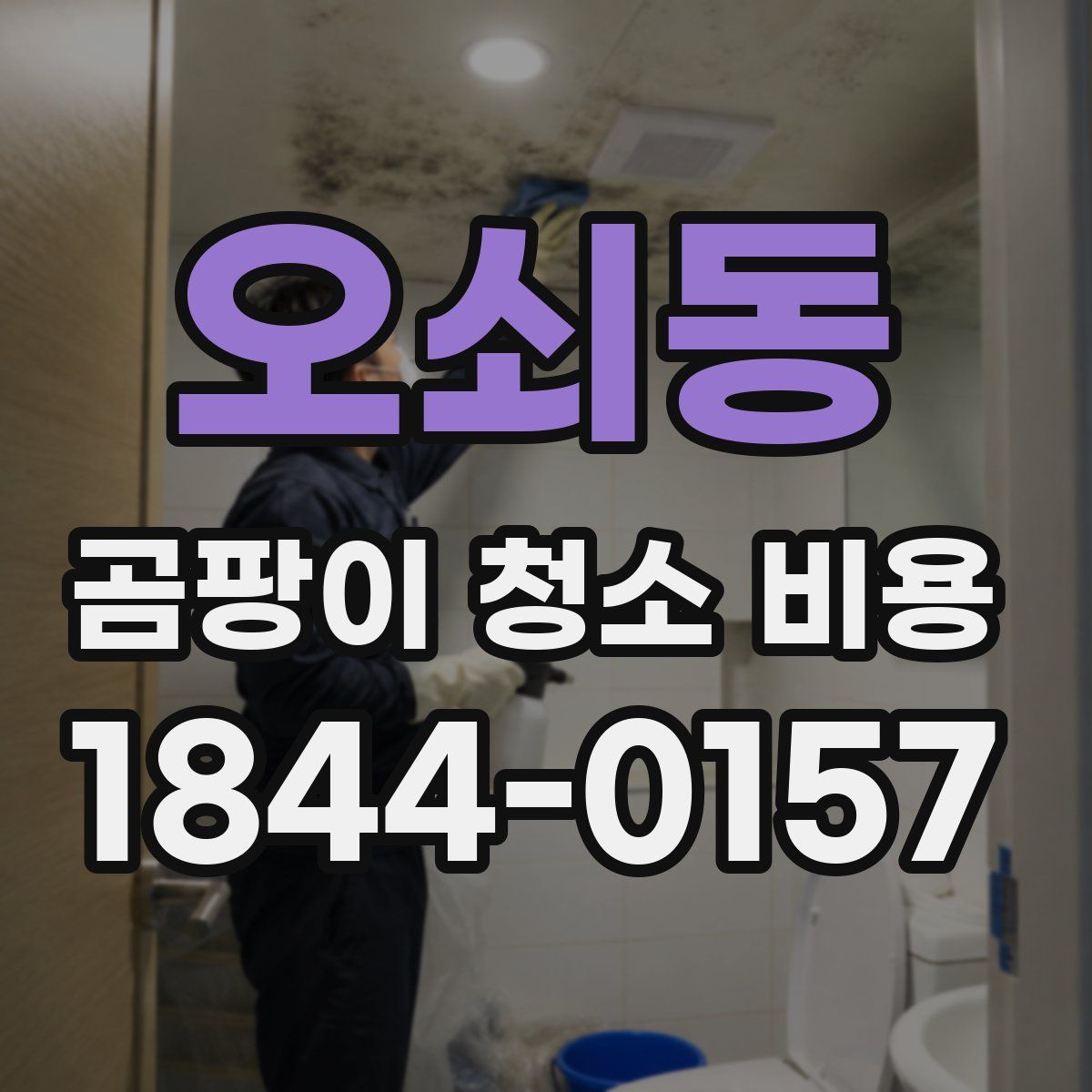 오쇠동 곰팡이 청소 비용
