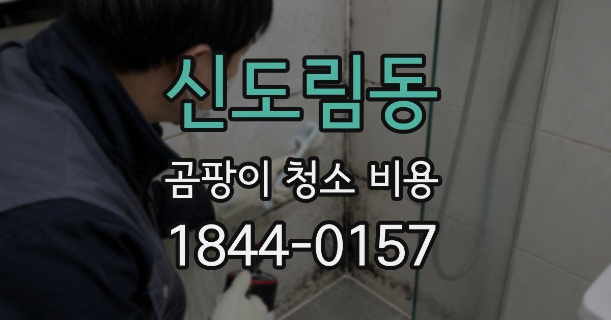 신도림동 곰팡이 청소 비용