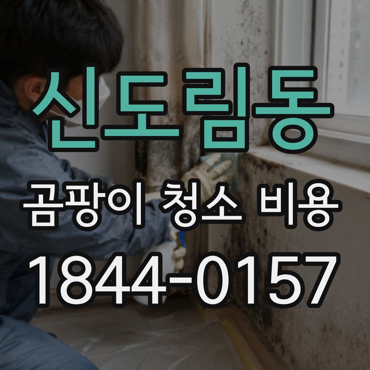 신도림동 곰팡이 청소 비용