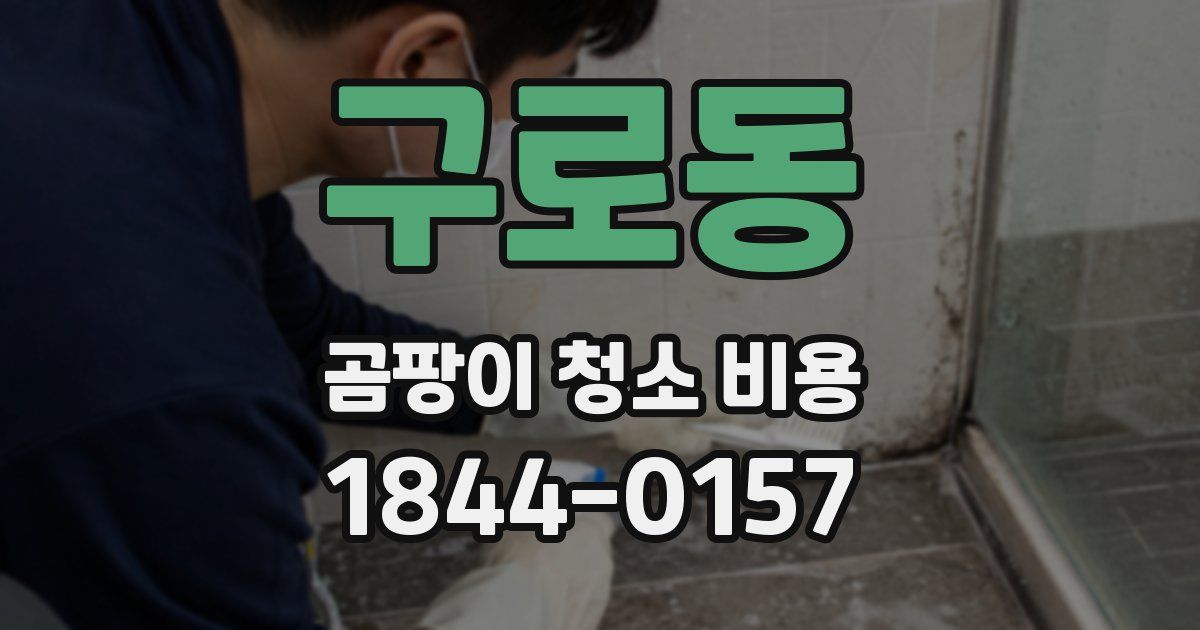 구로동 곰팡이 청소 비용