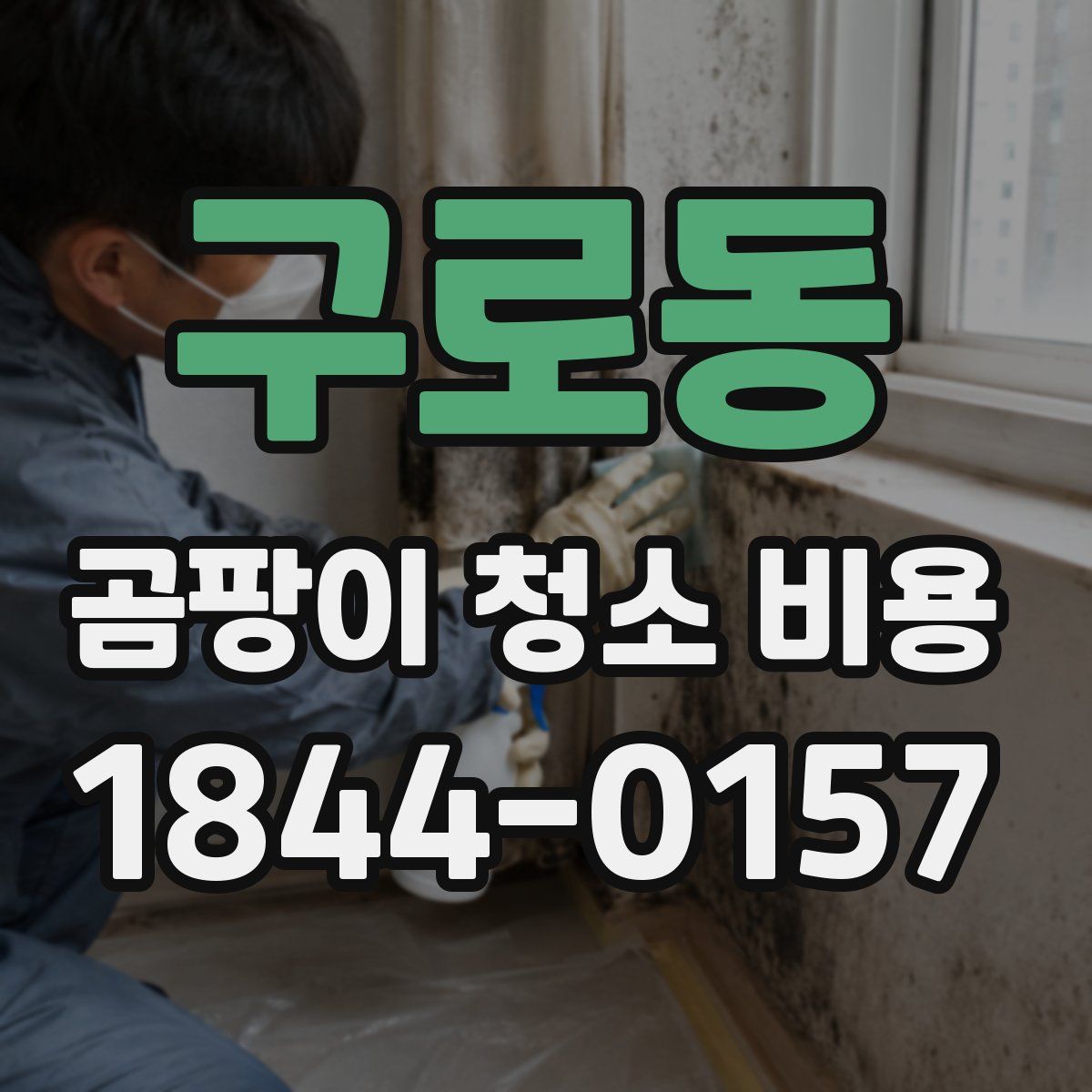 구로동 곰팡이 청소 비용