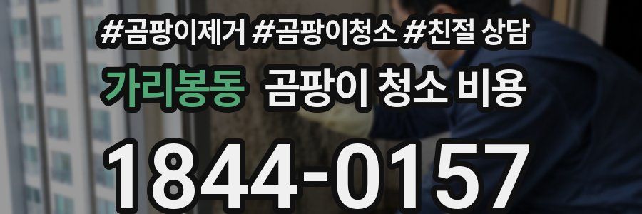 가리봉동 곰팡이 청소 비용