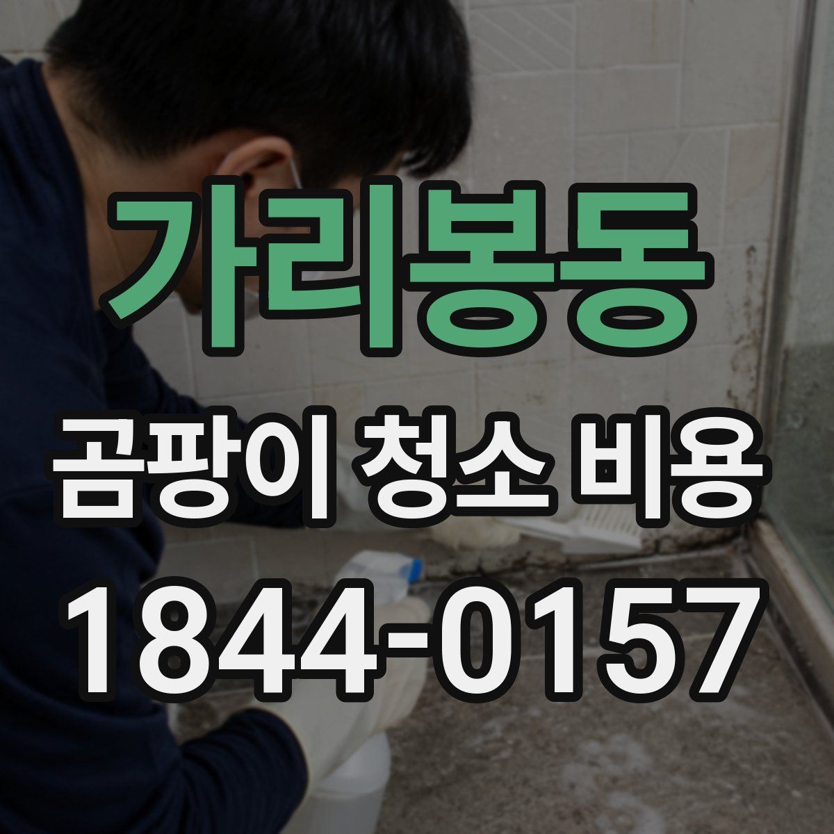 가리봉동 곰팡이 청소 비용