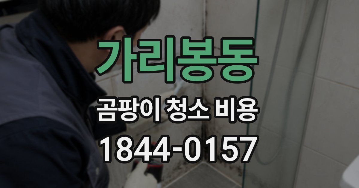 가리봉동 곰팡이 청소 비용