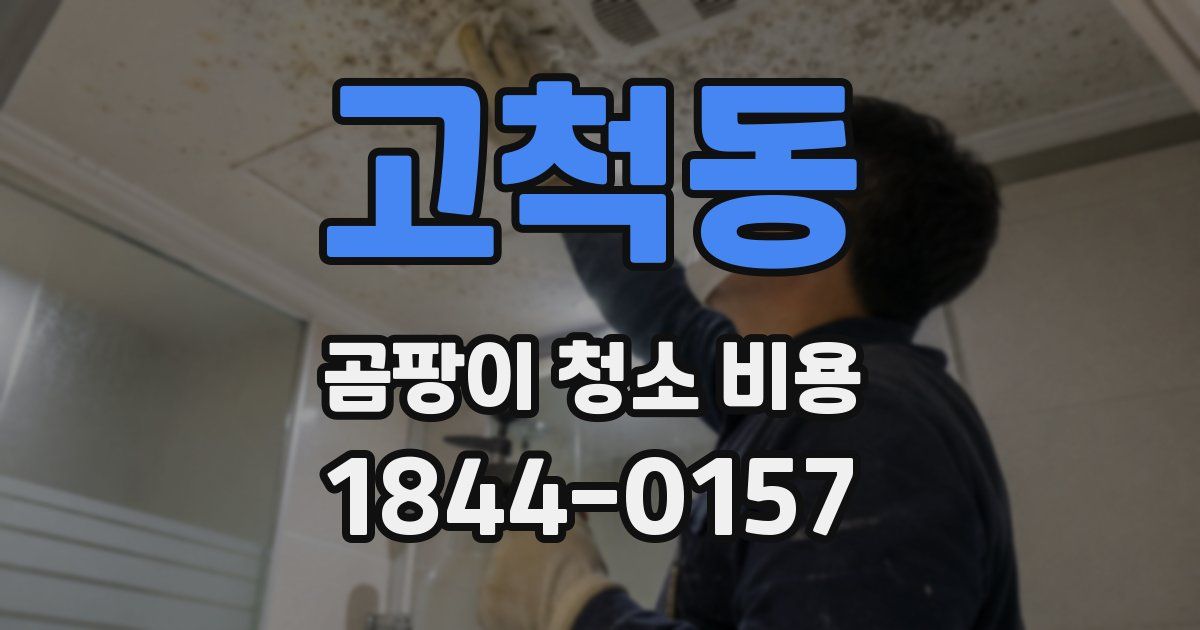 고척동 곰팡이 청소 비용