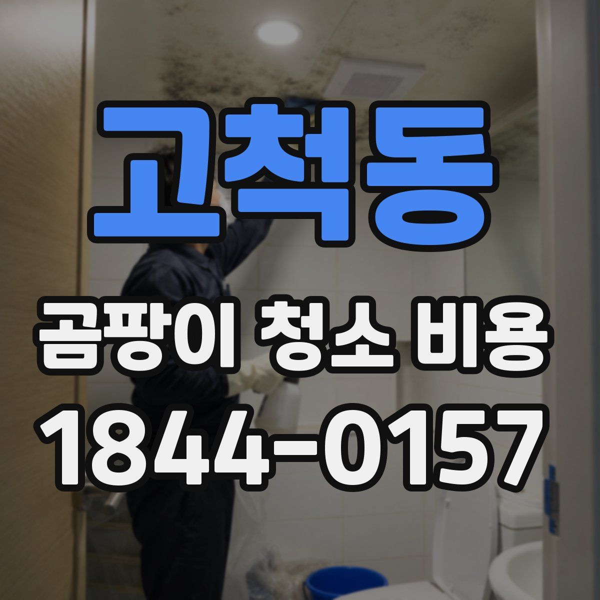 고척동 곰팡이 청소 비용