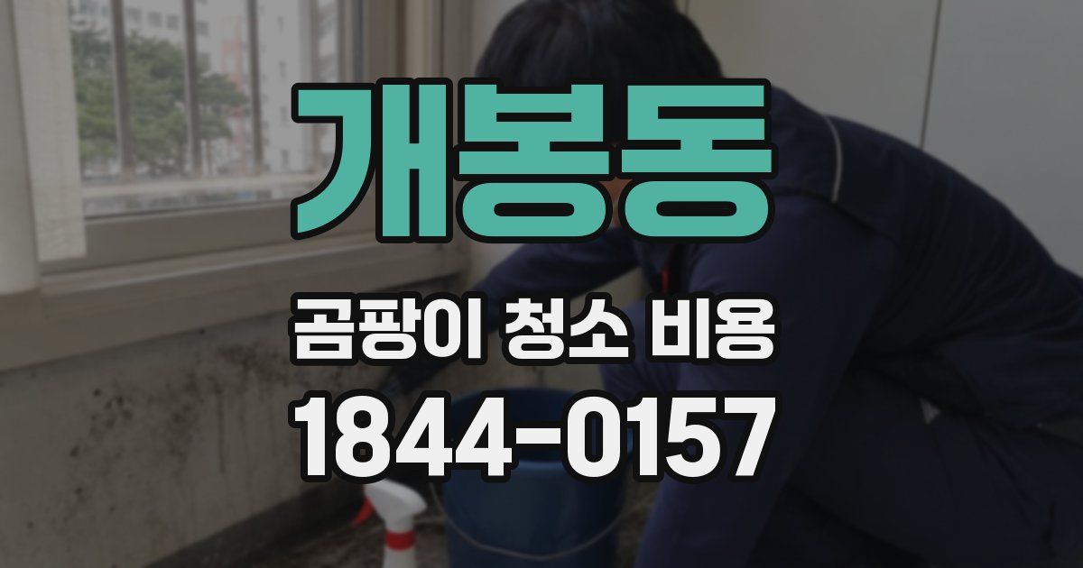 개봉동 곰팡이 청소 비용