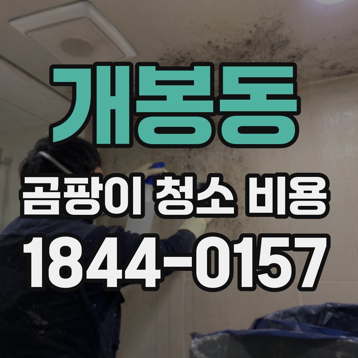 개봉동 곰팡이 청소 비용