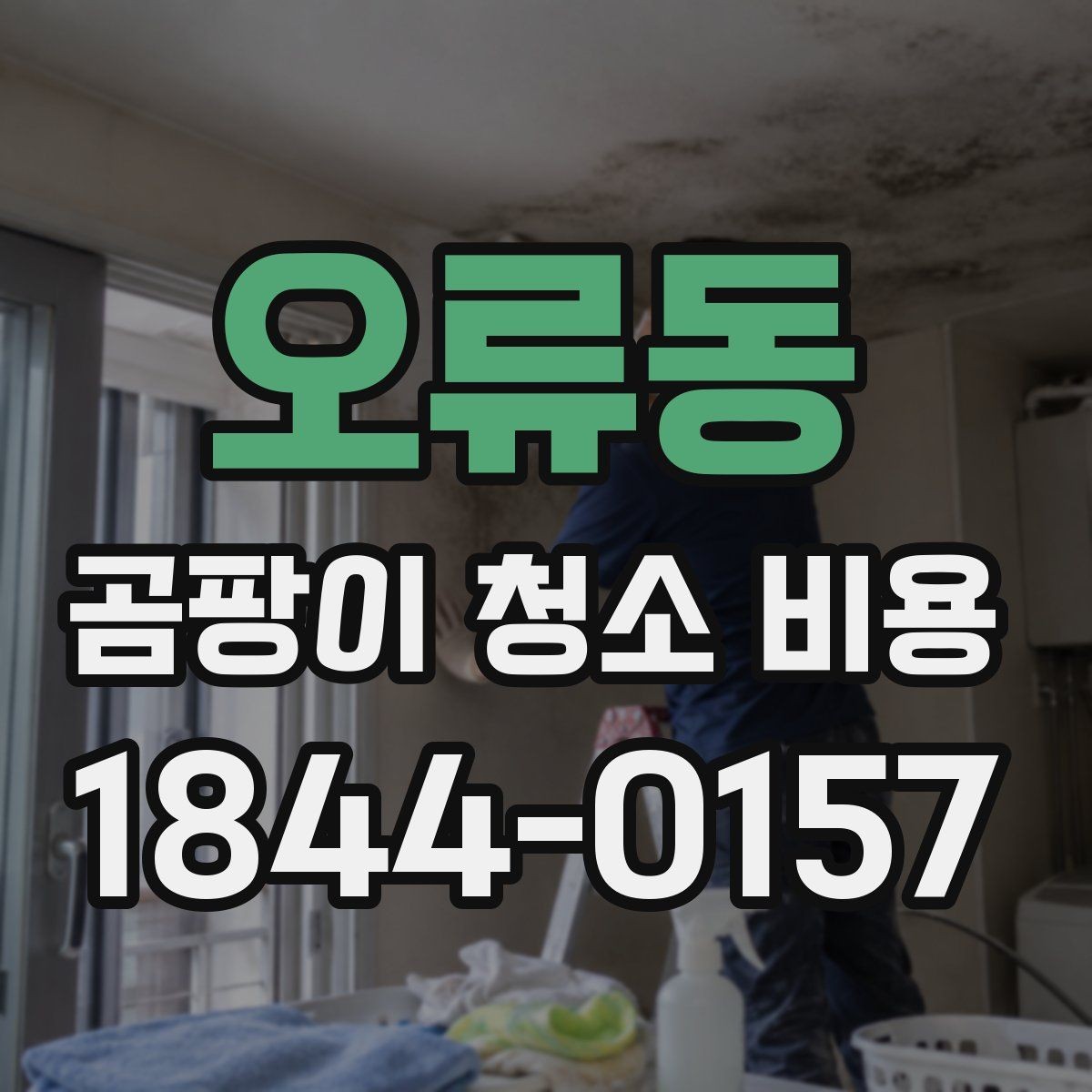 오류동 곰팡이 청소 비용 상담을 위해 준비하면 좋은 자료