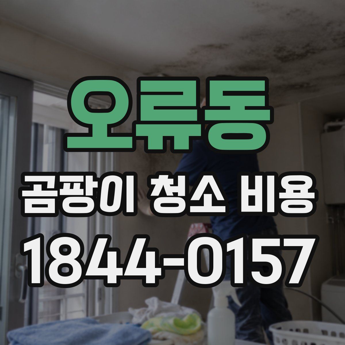 오류동 곰팡이 청소 비용