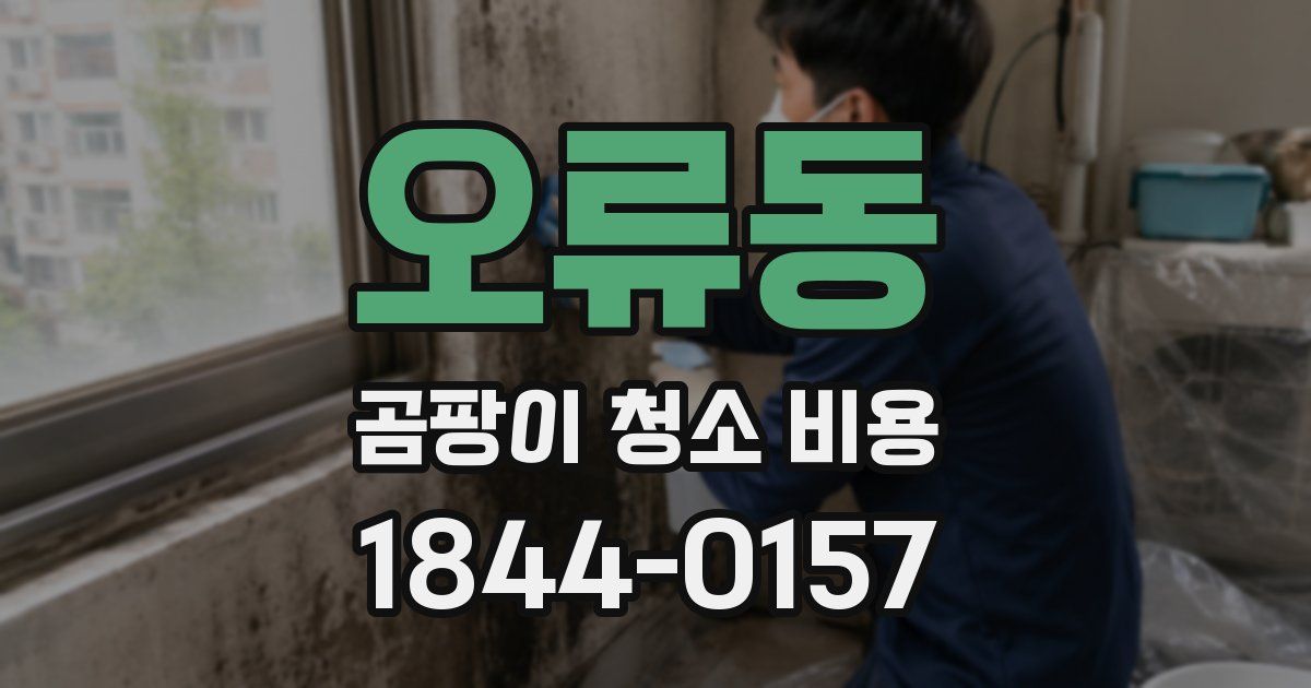 오류동 곰팡이 청소 비용