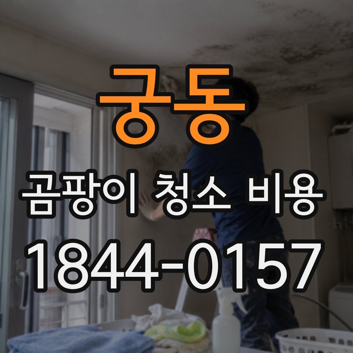 궁동 곰팡이 청소 비용 문의 시 필요한 사진과 정보