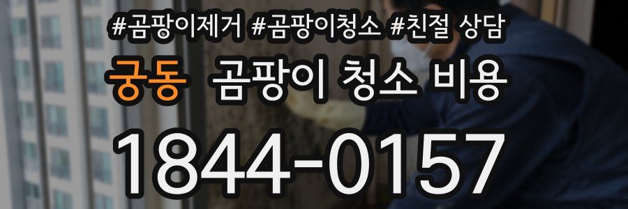 궁동 곰팡이 청소 비용