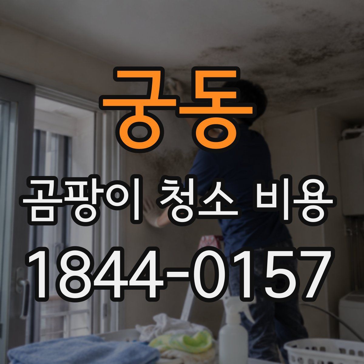 궁동 곰팡이 청소 비용